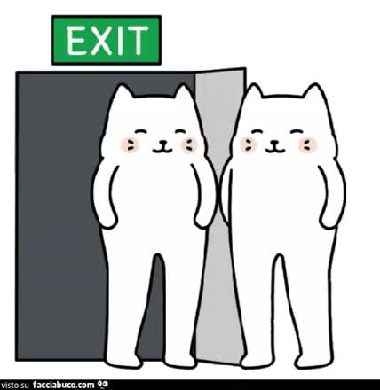 gif animata