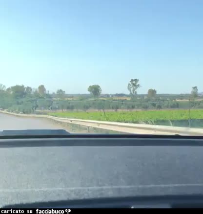 Gif Animata