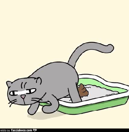 gif animata
