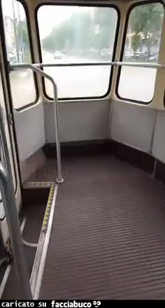 Gif Animata