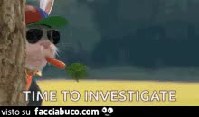 gif animata