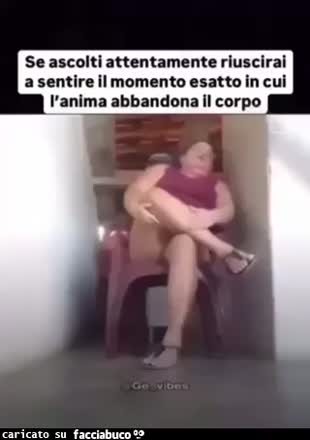 Gif Animata