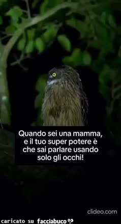 Quando sei una mamma e il tuo super potere è che sai parlare usando gli occhi gufi