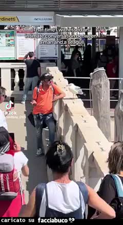 Gif Animata