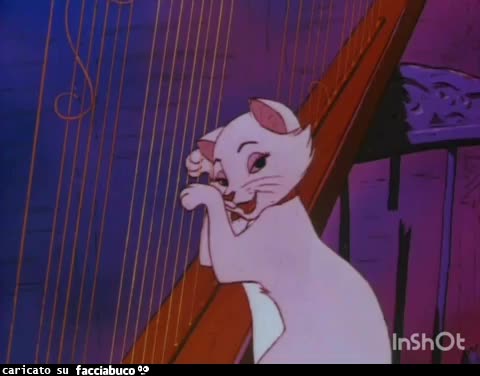 gif animata