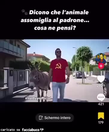 Gif Animata
