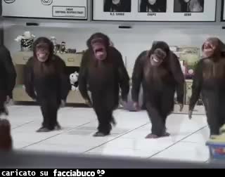 gif animata