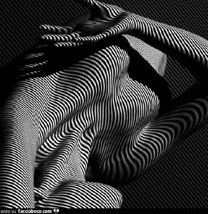 Adam Pizurny foto animate bianco nero donne nude striscia