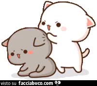 gif animata