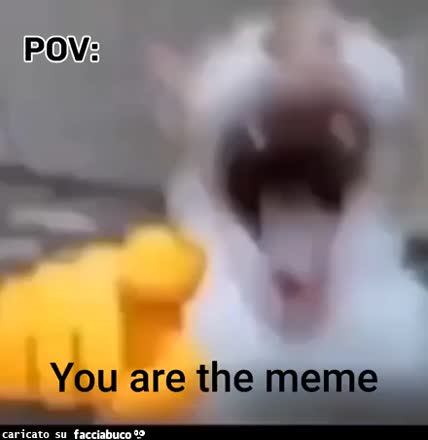 gif animata