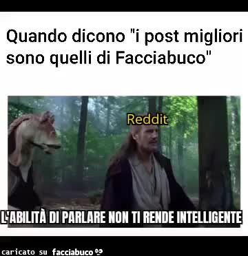 Meme facciabico