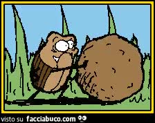 gif animata