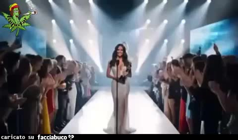 Gif Animata