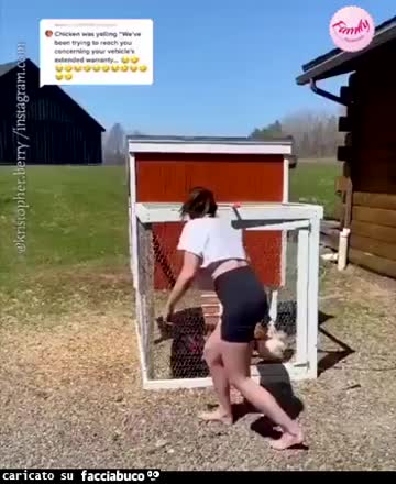 gif animata
