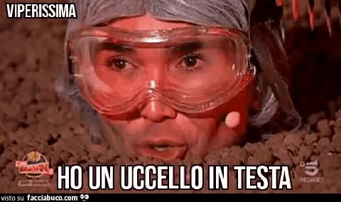 gif animata