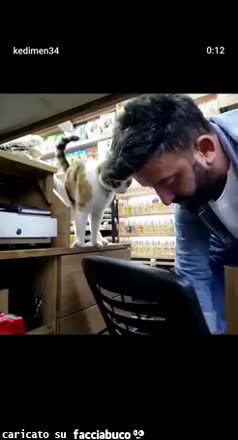 gif animata