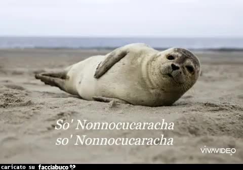 gif animata