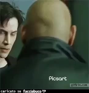 Gif Animata