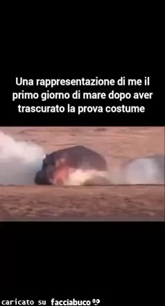 gif animata