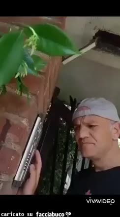 Gif Animata