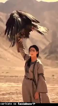 Gif Animata