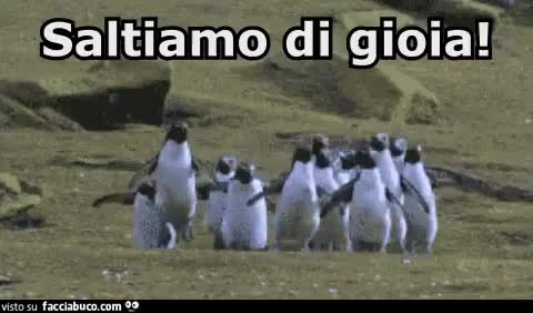 gif animata