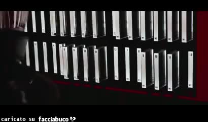 gif animata