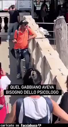 Gif Animata