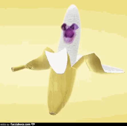 gif animata