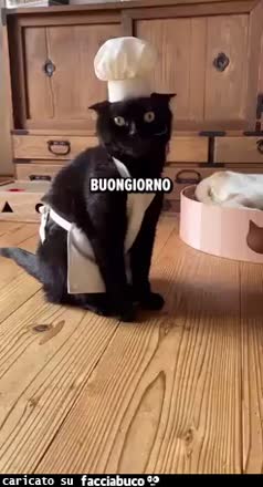 Gif Animata