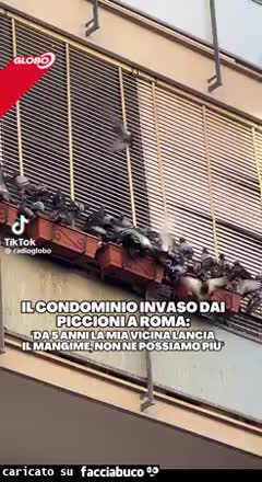 Gif Animata