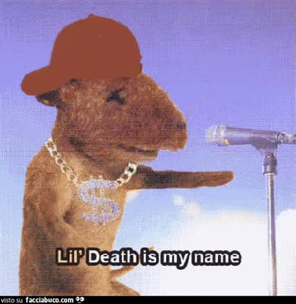 gif animata