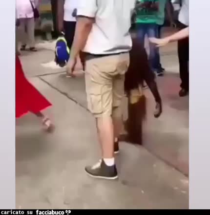 Gif Animata
