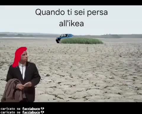 Gif Animata
