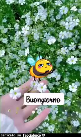 Gif Animata