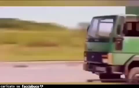 Gif Animata