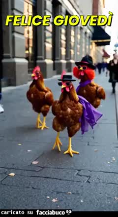 Gif Animata