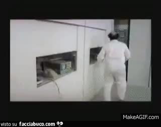 gif animata