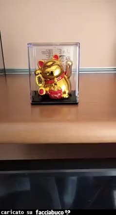 gif animata