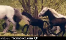 gif animata
