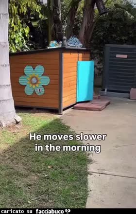 Gif Animata