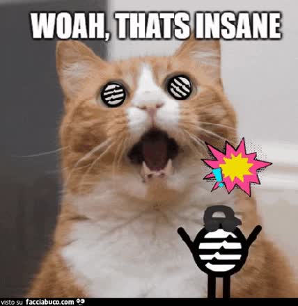 gif animata
