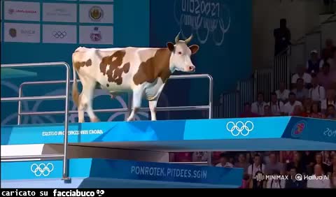 gif animata
