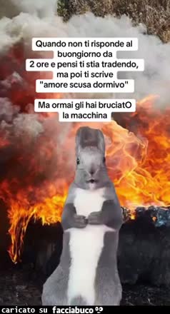 Gif Animata