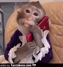 gif animata