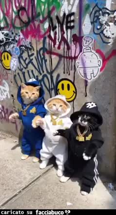 Gif Animata