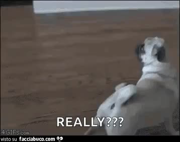 gif animata