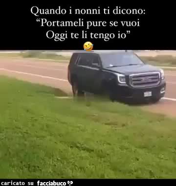 Gif Animata