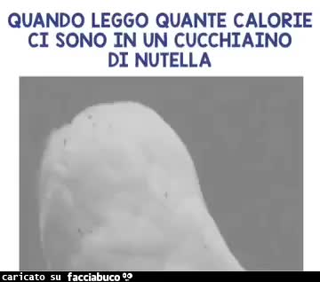 Quando leggo quante calorie ci sono in un cucchiaino nutella