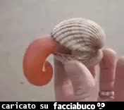 gif animata